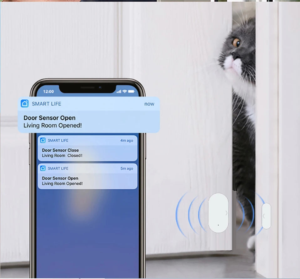 Tuya Smart Door Sensor (WiFi/Zigbee)