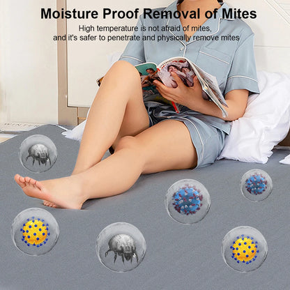 Electric Heating Blanket with Auto Thermostat (220V)