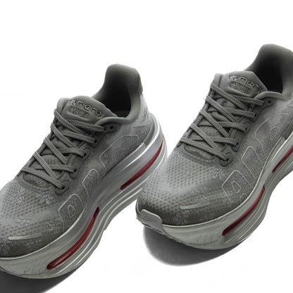 Women's Vomero Premium 'Fleur De Lis' - Geyser Grey/Peony/Metallic Silver